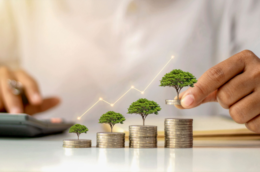 A businessman calculating and holding a coin with a tree that grows on a pile of coins illustrates the idea of maximizing the profit from investment on penny stocks.